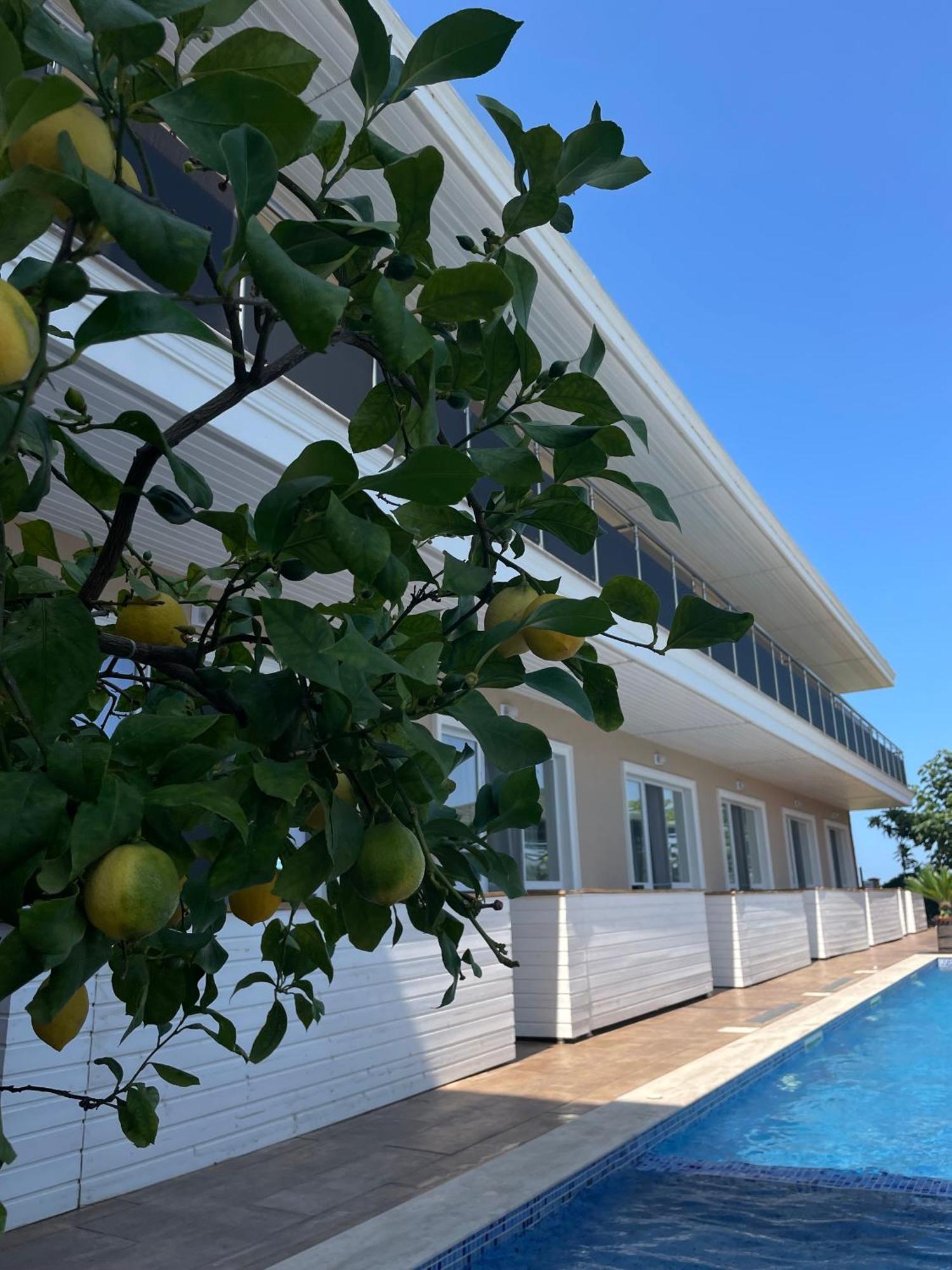 Gradina Holiday Sozopol Ngoại thất bức ảnh